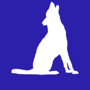 nexcoyocoatl's profile picture. 