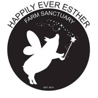 Happily Ever Esther Farm Sanctuary (@heefs_) 's Twitter Profile Photo Happily Ever Esther Farm Sanctuary (@heefs_) 's Twitter Profile Photo