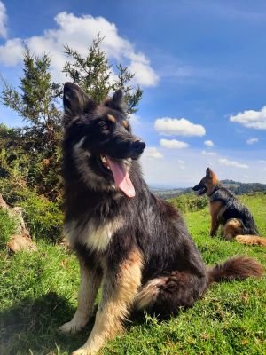 abedi_ke12's profile picture. 