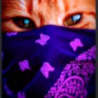 LittleMossGuy's profile picture. 