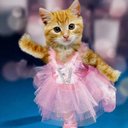 Debra Parton - @DebraParton321 - Twitter