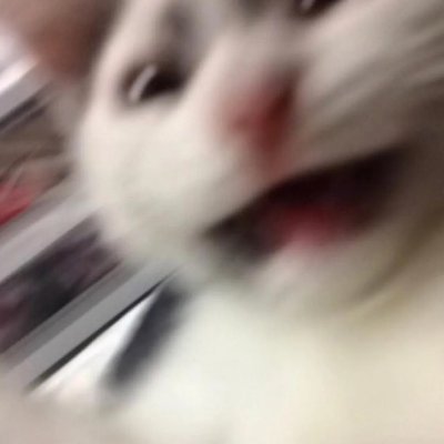 Dat_Djo's profile picture. mobs