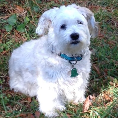 randy_paige2's profile picture. 