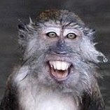 PrimeBane™ (@primebane) 's Twitter Profile Photo