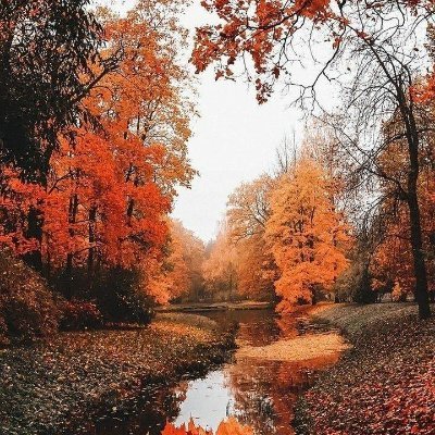 PatitoGusano's profile picture. 🫠