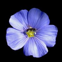 iwona barczak🇵🇱Polska...jeszcze🇵🇱 (@piegusek1) 's Twitter Profile Photo iwona barczak🇵🇱Polska...jeszcze🇵🇱 (@piegusek1) 's Twitter Profile Photo
