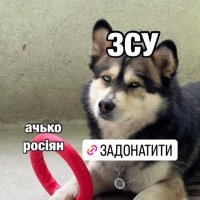 не бійся(@kmelnikova7) 's Twitter Profile Photo