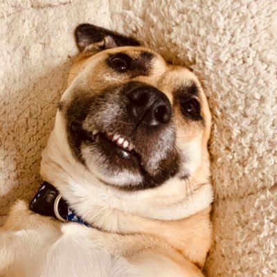 NandoJar's profile picture. muy random