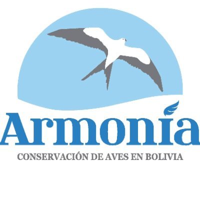 Conservación de aves en Bolivia. Protegemos especies de aves en peligro de extinción y colaboramos con comunidades. Cuenta en inglés: @armonia_bolivia