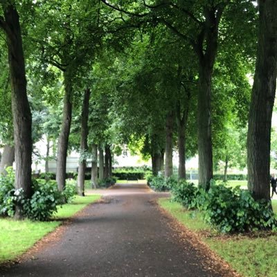 TahaSalah9's profile picture. 