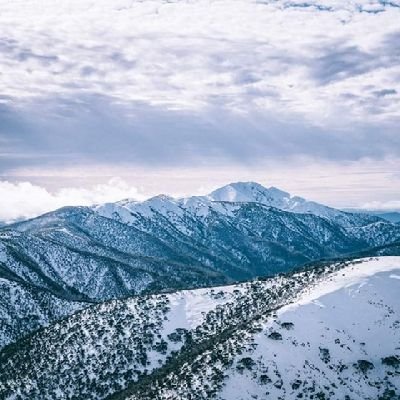 lamb1312's profile picture. 