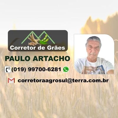 Milho e Soja Grão e Milheto e Sorgo