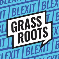 BLEXIT Grassroots Team(@BlexitBGT) 's Twitter Profile Photo