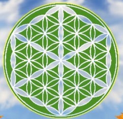 quantensprung64's profile picture. 