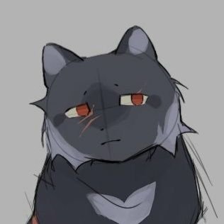 Hoangさんのプロフィール画像