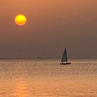 ۛ #أبو؏ـبدا̍ڶــ؏ــڗٻۧــژ# (@omarome55770513) 's Twitter Profile