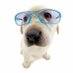 dog (@axzluv) Twitter profile photo dog (@axzluv) Twitter profile photo