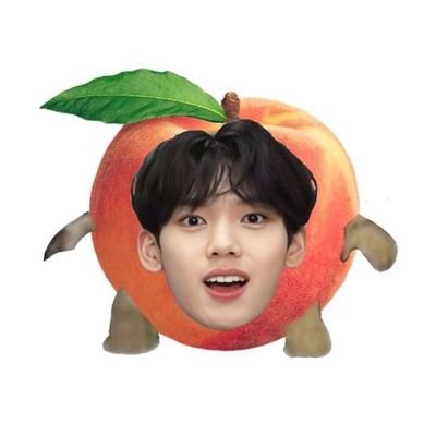 sayang han yujin, trainee han yujin, @ZB1_official han yujin, han weichen, chenchen, peach yujin, bunny yujin, kitty yujin, puppy yujin, yucil
