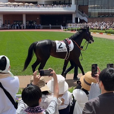 競馬