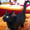 Alison  Read - @readdie67 - Twitter