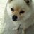 daikichigenki's profile image
