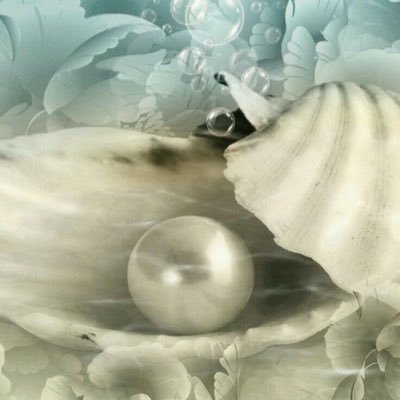 shells_9