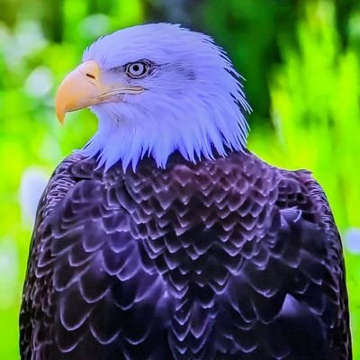 YoLatinoUS's profile picture. How is your day going?
Get up! thank God, love your wife, your family, your country, count your blessings, pray x peace ✌️& don't do drugs! 
https://t.co/Sa2T7wToFt