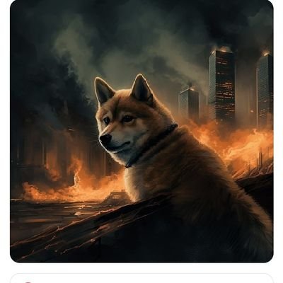 nabika36595's profile picture. 