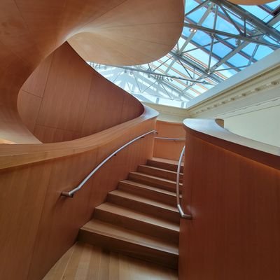 idididoiamdoing's profile picture. 