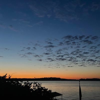 gonegolfin7's profile picture. 