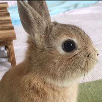 てんちゃん (@ten202207) 's Twitter Profile