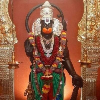 nellivenkatesh1's profile picture. 