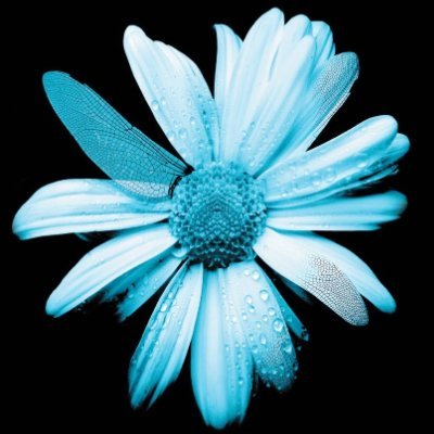 PherDejar's profile picture. I speak English, Spanish, Gif, Dog and Trash. Creative 💐 They/Them/he/she/thank you - NeuroDiverse