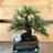 ojb7qUZfjB0rtwM's profile image