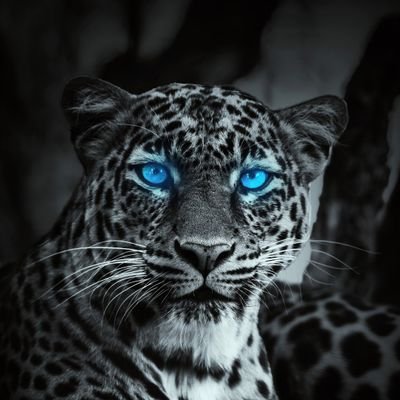 Aravint72129933's profile picture. News