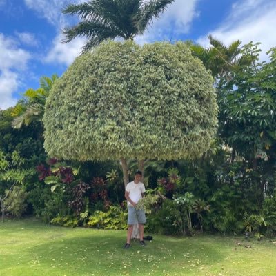 toyonagat1's profile picture. 気の向くままに