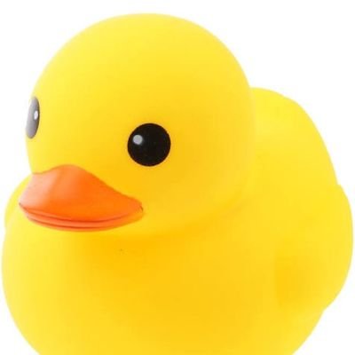 アヒル軍曹です。加齢臭のするおっさん ほんのりモタスポとゲームとパチンコスロット好きです 推しはオスカー・ピアストリとアイザック・ハジャー　ヘッダーは琥珀先生(@kohaku__0702)