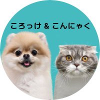 ころっけ&こんにゃく(@KorokkePome) 's Twitter Profile Photo