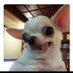 Sebcp93 (@sebcp93) Twitter profile photo Sebcp93 (@sebcp93) Twitter profile photo