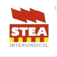 STEA-i (@sindicatostea) 's Twitter Profile