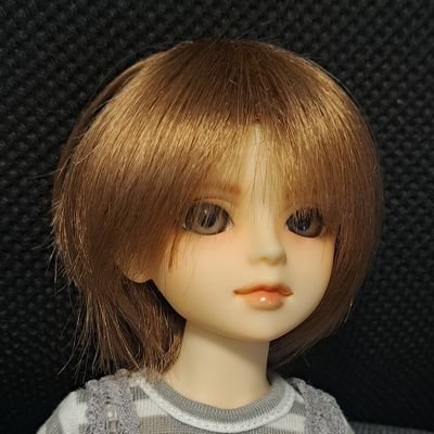 VOLKSのスーパードルフィー(SDM)をこよなく愛する人。無言フォロー失礼します。DP秋葉原が家で窓が城です。
MSD09番奏くん、MSD18番響、ルド様を愛しています。