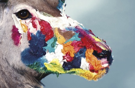 siri_s's profile picture. 