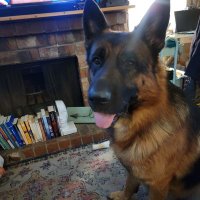 Shane (@cheezitjunkie91) 's Twitter Profile