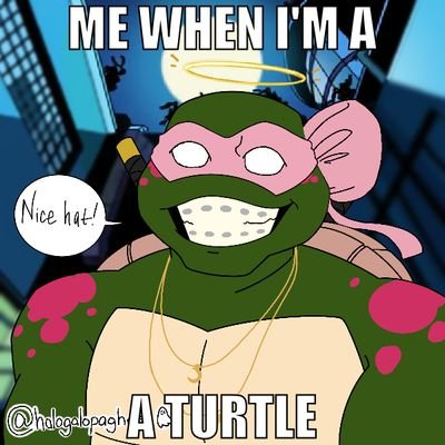 Currently in Rise of TMNT phase //age 20+//She, her ♀️//⚠️DNI P**shipper or Tc*sters⚠️// ADHD and kin Leo💙