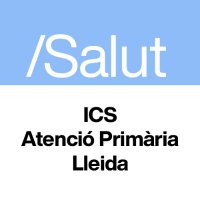 AP ICS Lleida(@apicslleida) 's Twitter Profile Photo