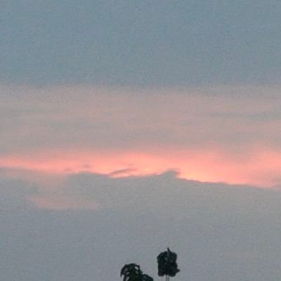 sugga1110's profile picture. 