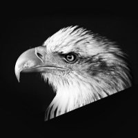 Waneta (@championwaneta) Twitter profile photo