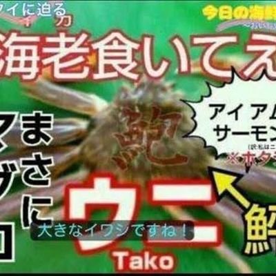 taku850501's profile picture. 2023後期ザンリーグ所属/３麻、４麻、経験、未経験問わず麻雀に関連する人と繋がりたいです/2023.6.3初人狼/2024.1.6ウマ娘を開始