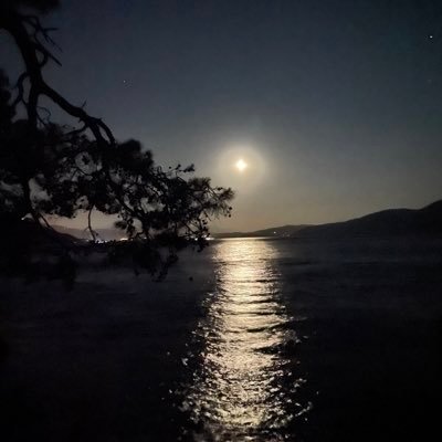 yolcu4877's profile picture. 🇹🇷