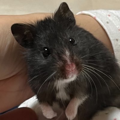 9d5x2sOZwa59679's profile picture. 